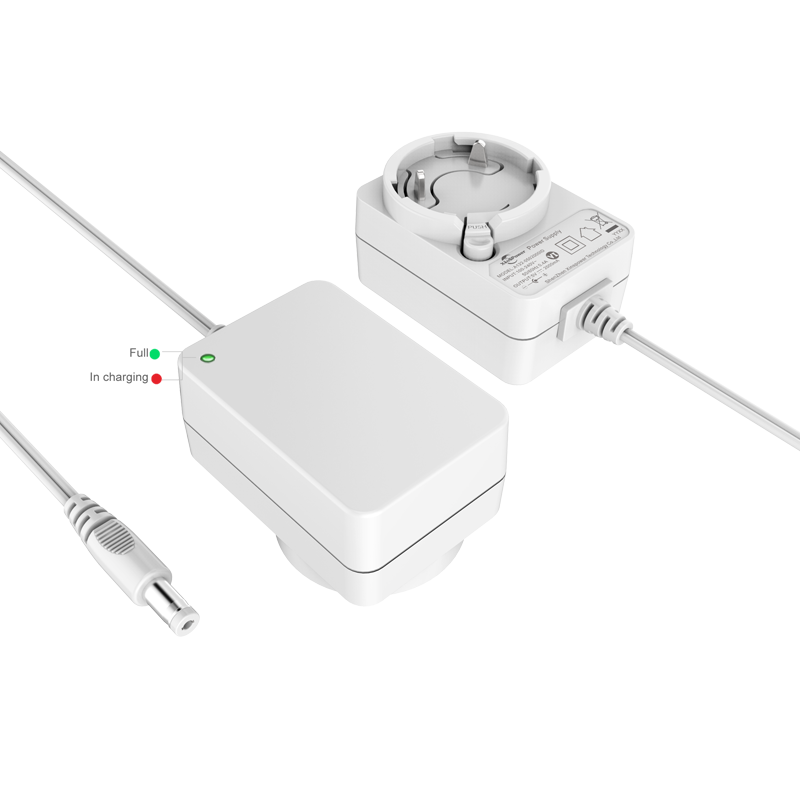 12W Interchangeable Battery Charger